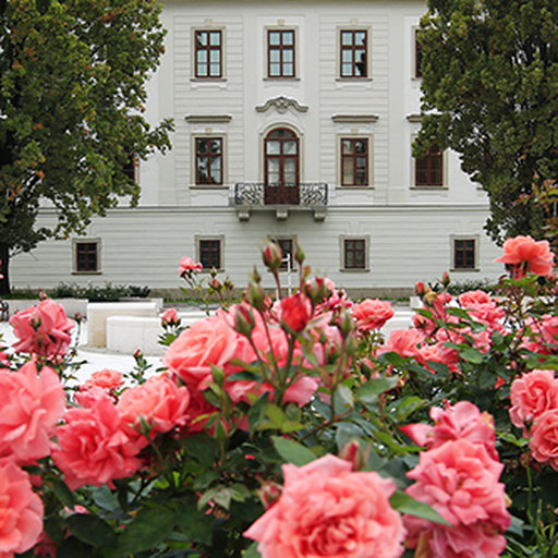 A Palota mw diszudvar